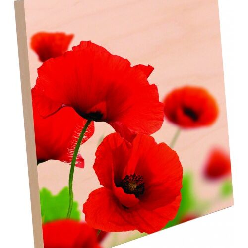 8x8 Photo Panel w/ Easel Thumbnail